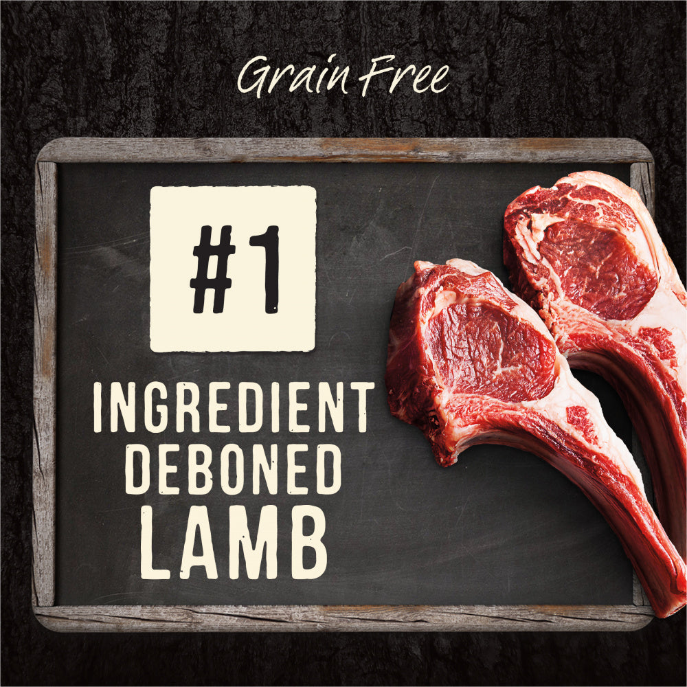 Merrick Backcountry Raw Infused Grain Free Big Game Recipe Dry Dog Food