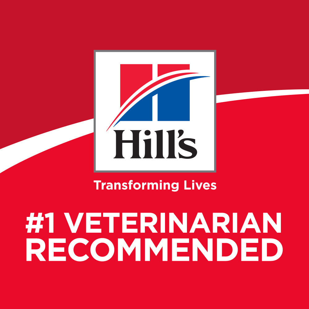 Hill's Science Diet Adult 7+ Perfect Digestion Chicken Dry Dog Food