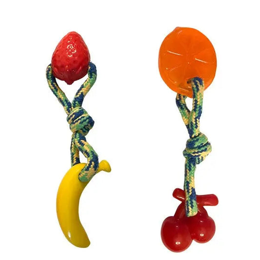 Fruit Toy 2PK Orange/Banana