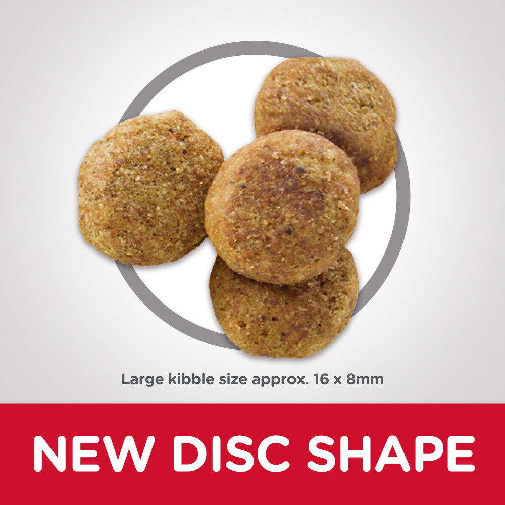 Hill's Science Diet Large Breed Light Chicken Meal & Barley Dry Dog Food