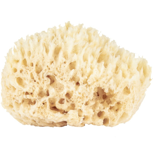 Sponge Wool Small