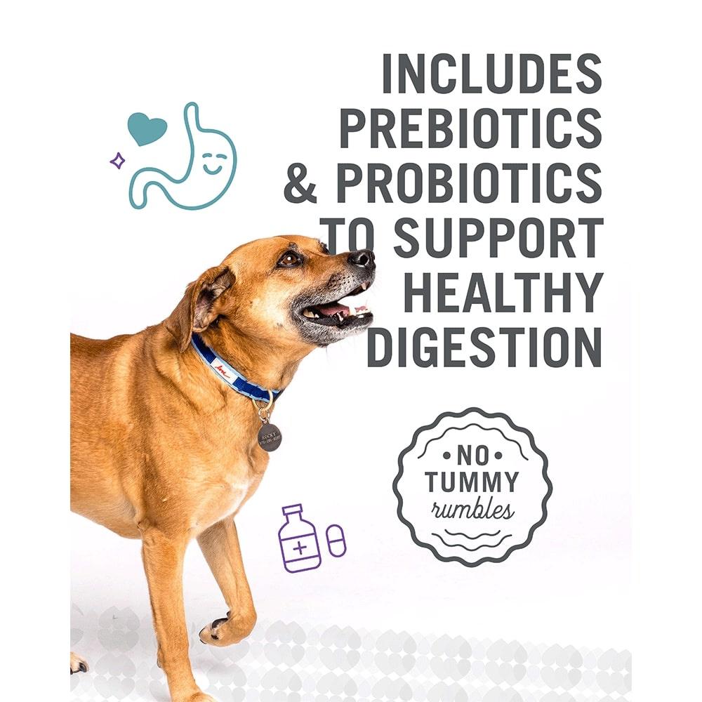 I and Love and You Naked Essentials Grain Free Lamb & Bison Dry Dog Food