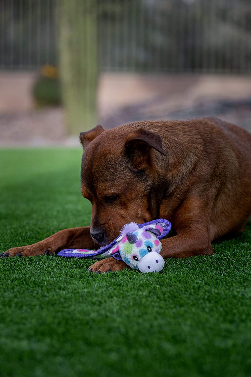 <transcy>流苏Toybox诺伯特The Blue Dragon Feelin&#39;蓝色吱吱毛绒狗玩具</transcy>