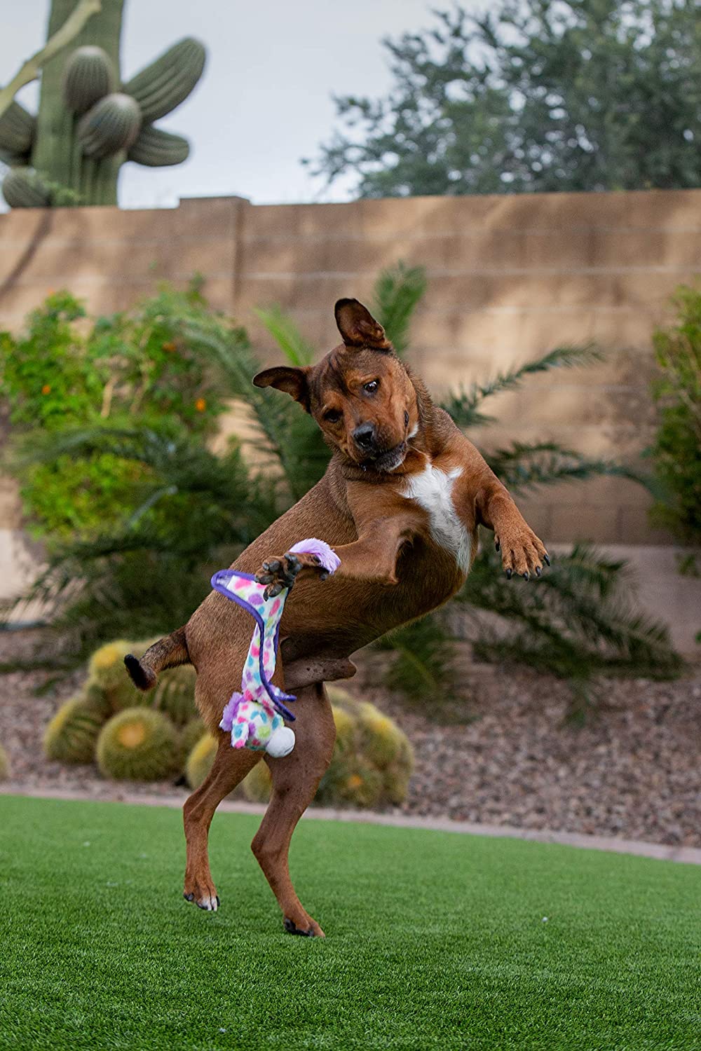 <transcy>流苏Toybox诺伯特The Blue Dragon Feelin&#39;蓝色吱吱毛绒狗玩具</transcy>