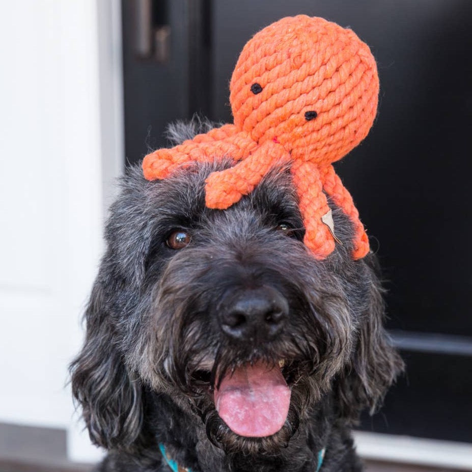 Jax & Bones: Octopus Rope Toy